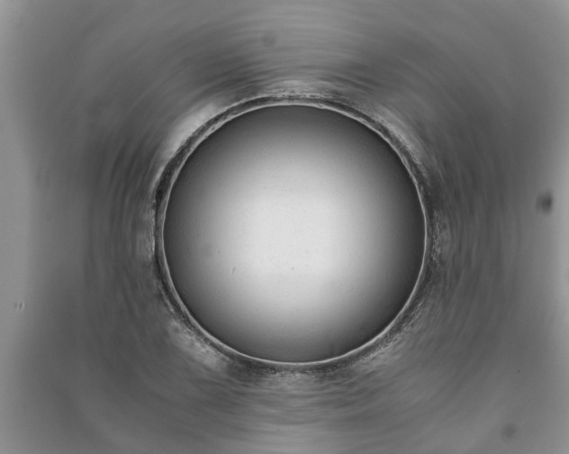 X0000091061075200708131124