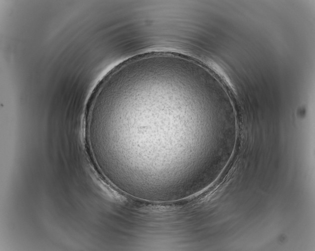 X0000091061076200708131124