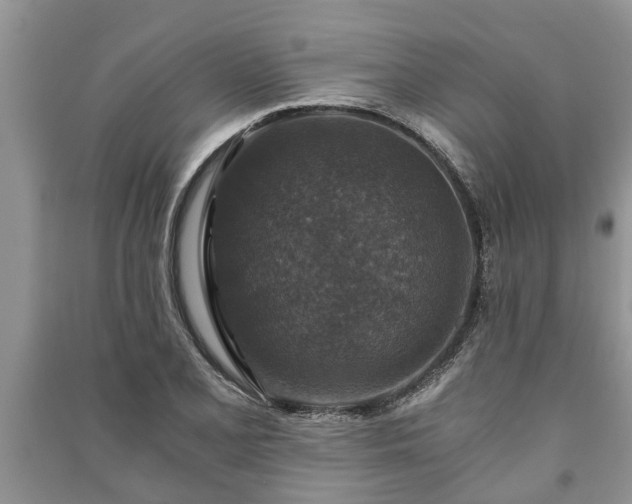 X0000091061077200708131124