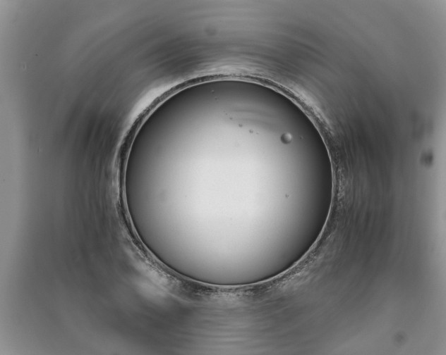 X0000091061078200708131124