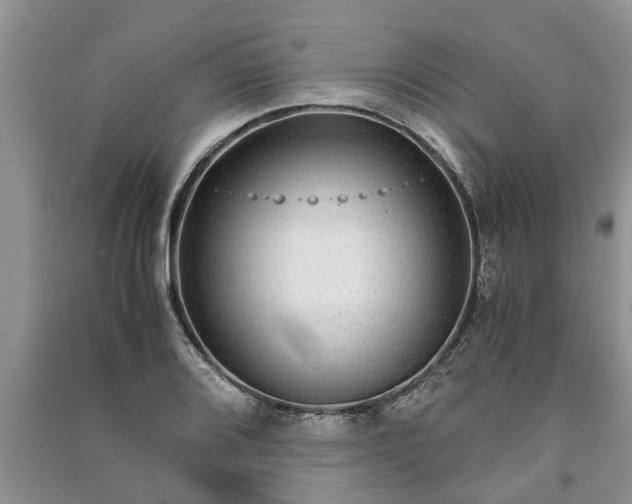 X0000091061080200708131124
