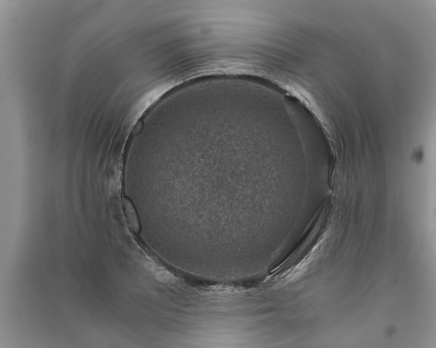 X0000091061081200708131124