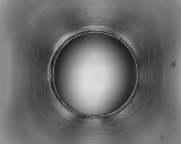 X0000091061082200708131124