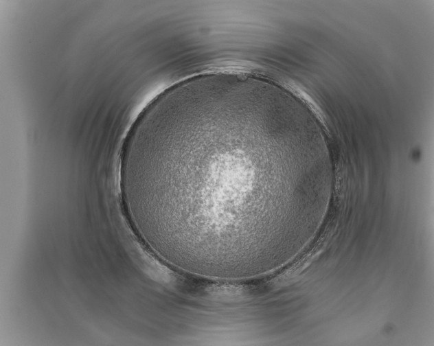 X0000091061083200708131124