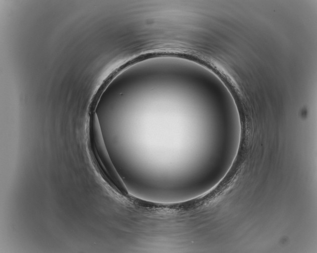X0000091061085200708131124