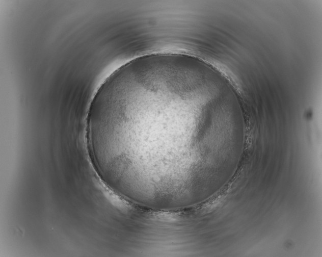 X0000091061086200708131124