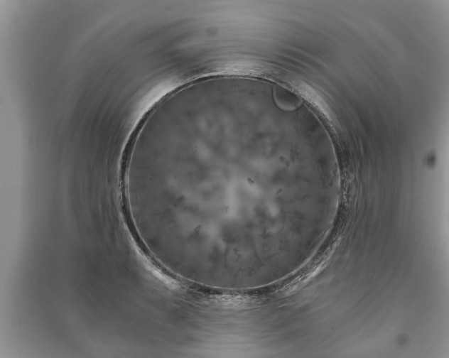 X0000091061087200708131124