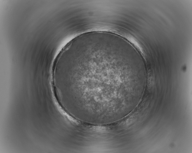 X0000091061088200708131124