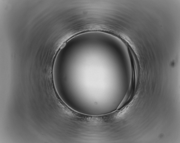 X0000091061089200708131124