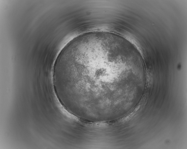 X0000091061090200708131124