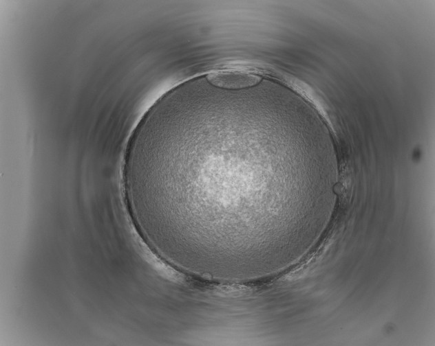 X0000091061091200708131124