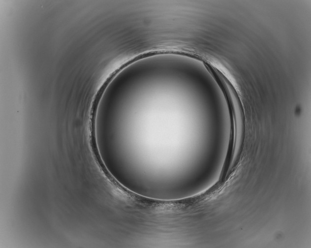 X0000091061093200708131124