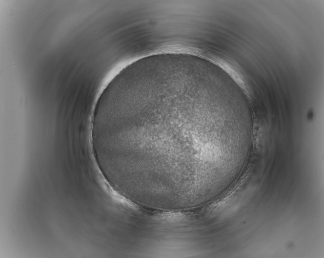 X0000091061094200708131124