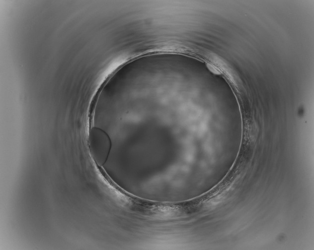 X0000091061095200708131124