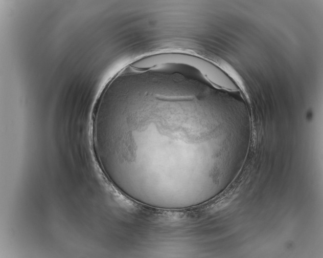 X0000091061096200708131124