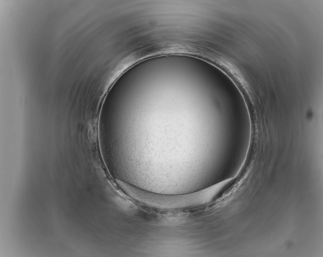 X0000091061097200708131124