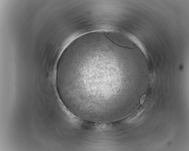 X0000091061099200708131124