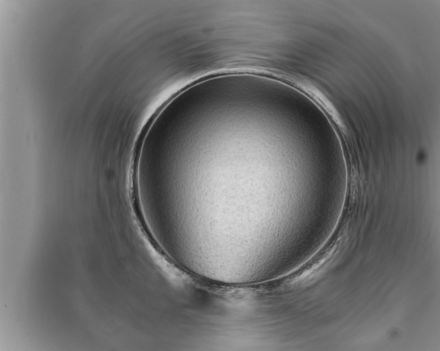 X0000091061101200708131124