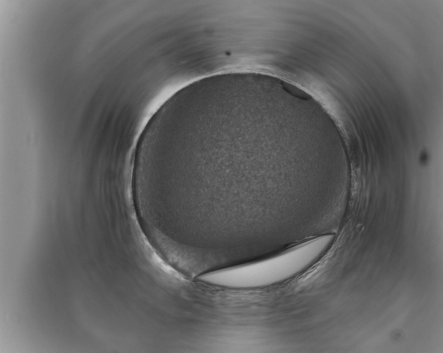 X0000091061102200708131124