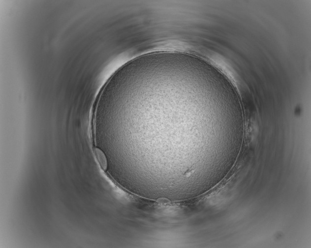 X0000091061103200708131124