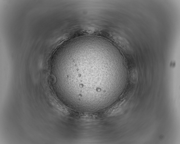 X0000091061105200708131123