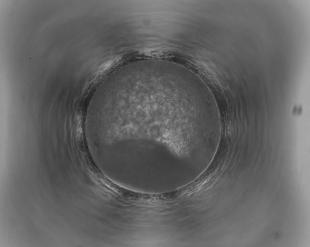 X0000091061106200708131123