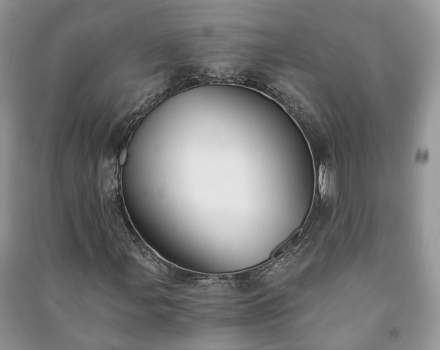 X0000091061107200708131123
