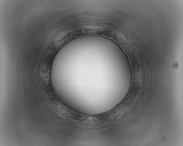 X0000091061109200708131123