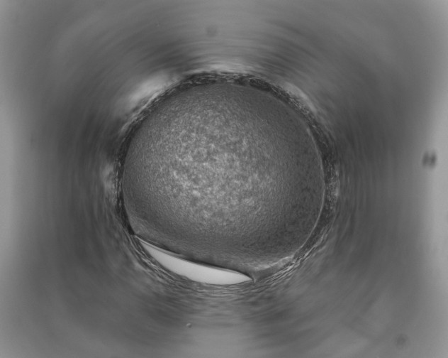 X0000091061110200708131123