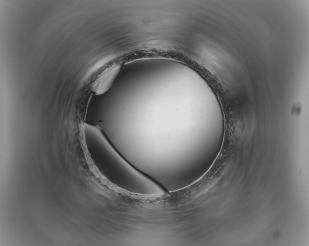 X0000091061112200708131123