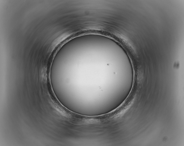 X0000091061113200708131123