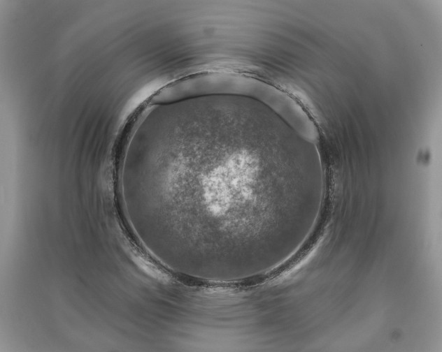 X0000091061114200708131124