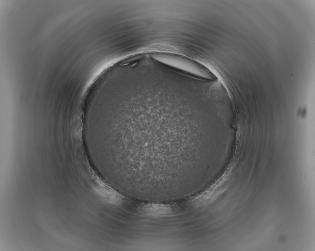 X0000091061115200708131124