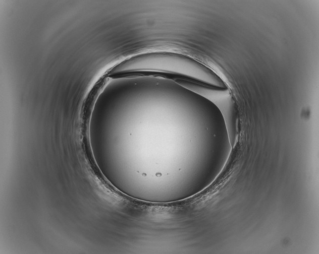 X0000091061116200708131124