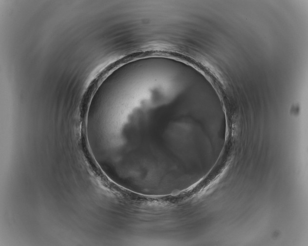 X0000091061117200708131124