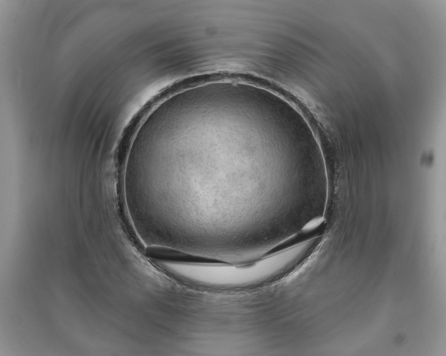 X0000091061118200708131124