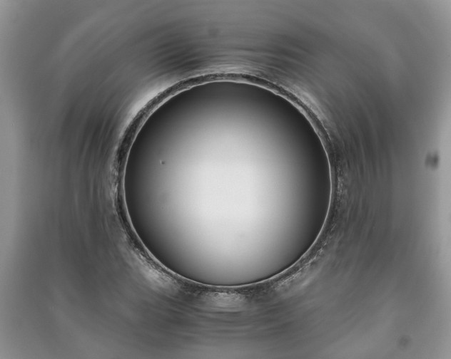 X0000091061119200708131124