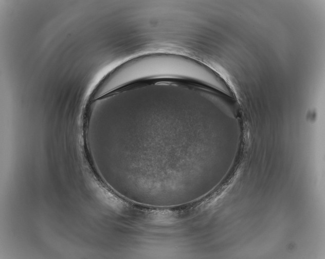 X0000091061120200708131124