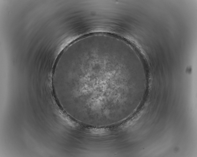 X0000091061121200708131124