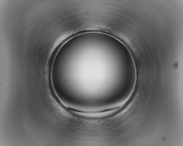 X0000091061122200708131124