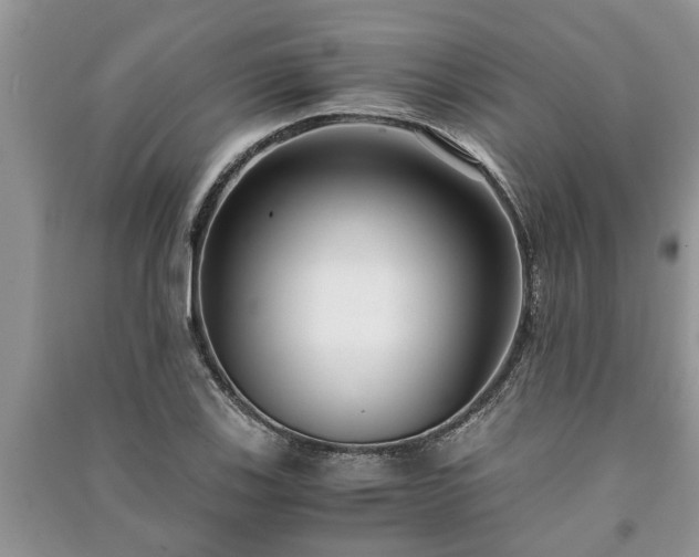 X0000091061123200708131124