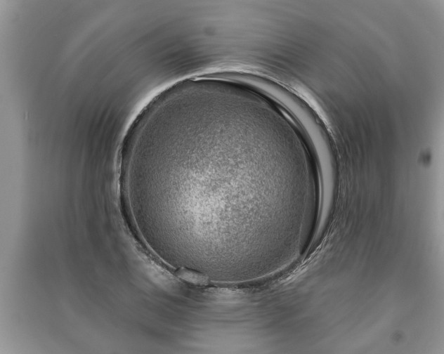 X0000091061124200708131124