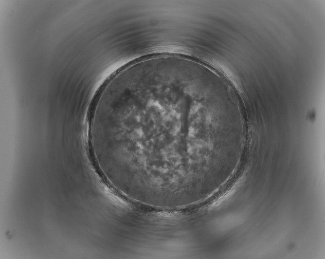 X0000091061125200708131124