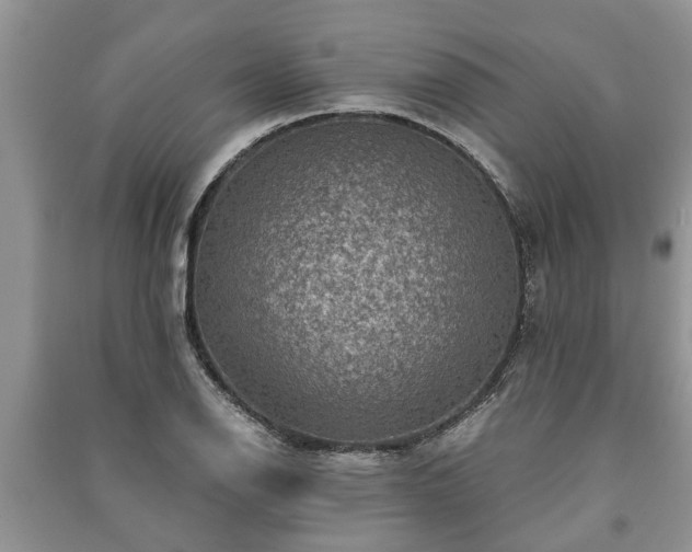 X0000091061126200708131124
