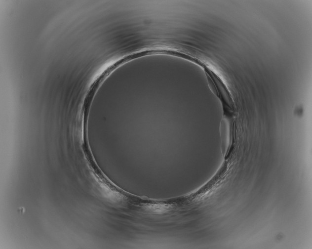 X0000091061127200708131124