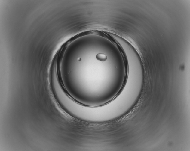 X0000091061128200708131124