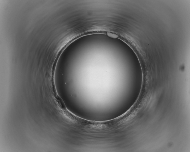 X0000091061129200708131124