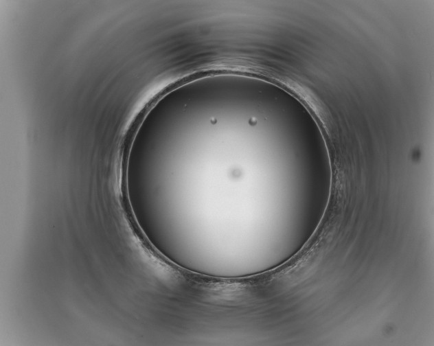 X0000091061131200708131124