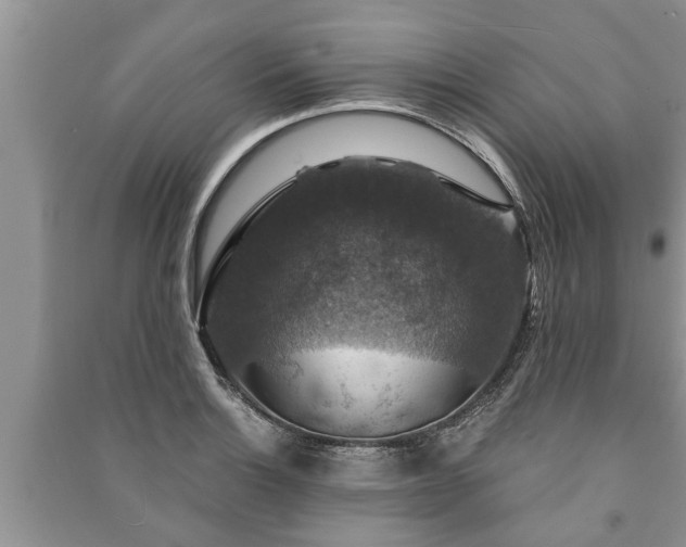 X0000091061132200708131124