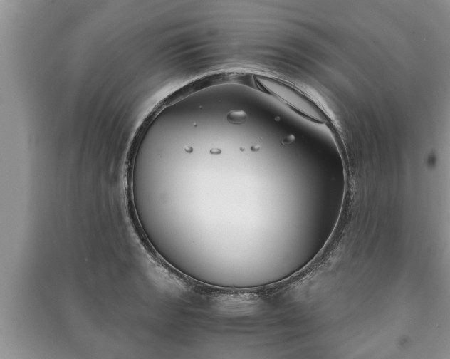 X0000091061133200708131124